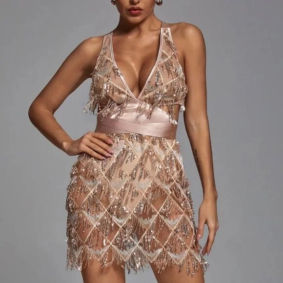 Bella Barnett Dresses & Skirts - Dress L Sequin Tassel Fringe Sheer Mesh Champaign Louisa Mini Bella Barnett New